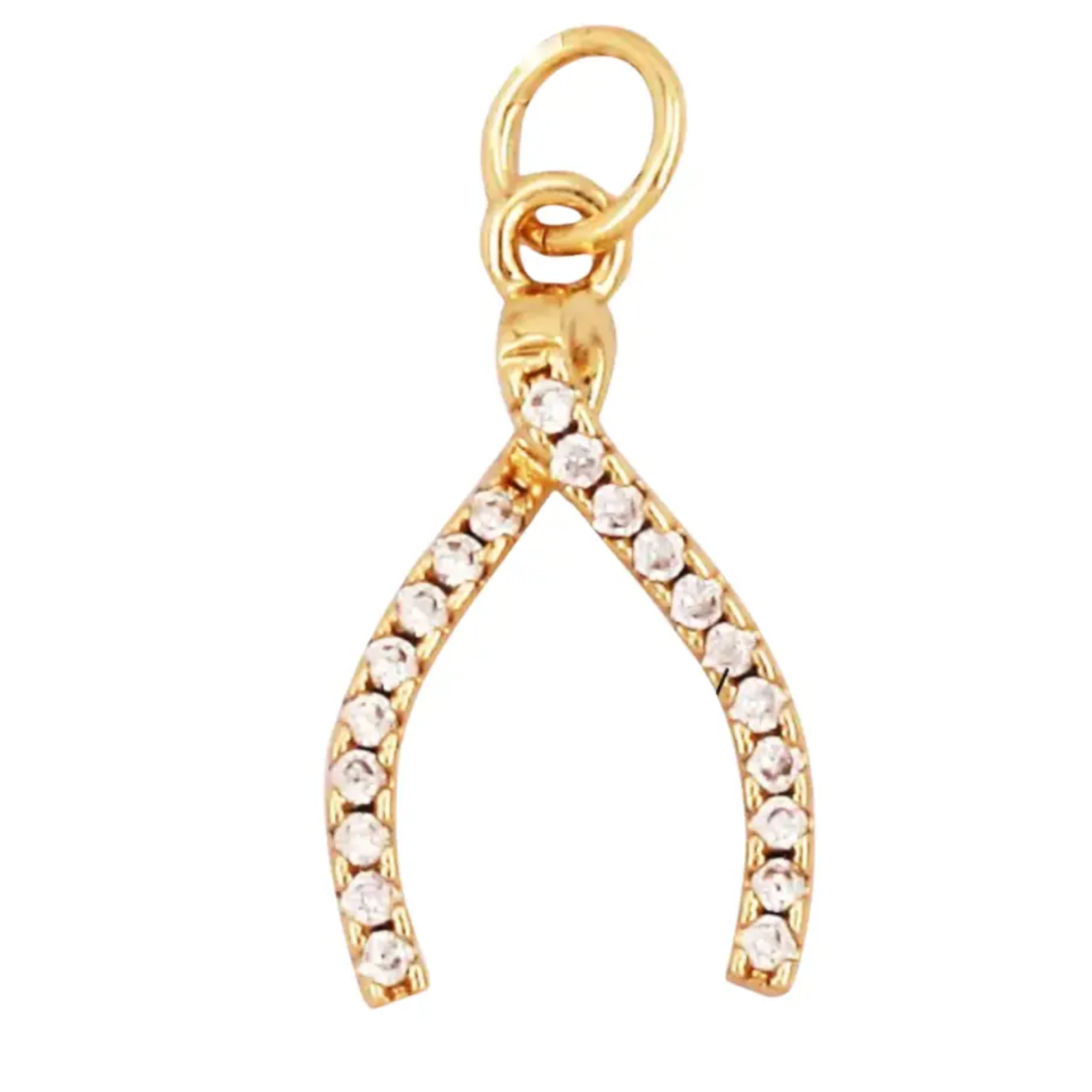 Wishbone Charm For Charm - Let's Bag It