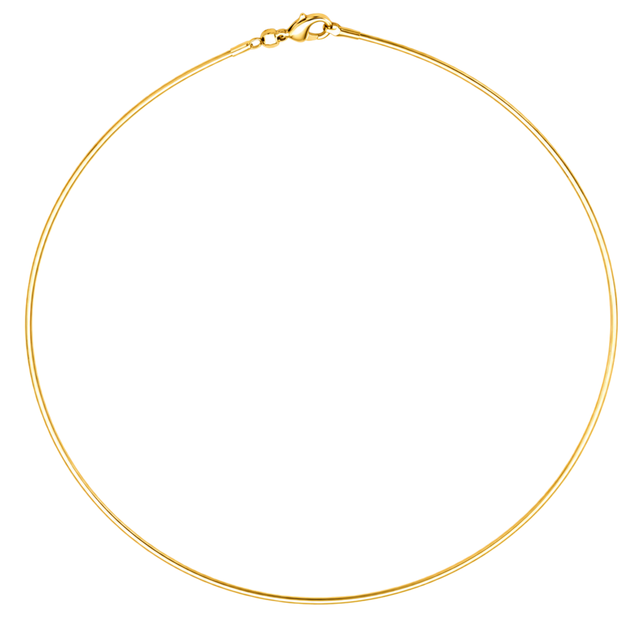 Hard Wire Choker Necklace