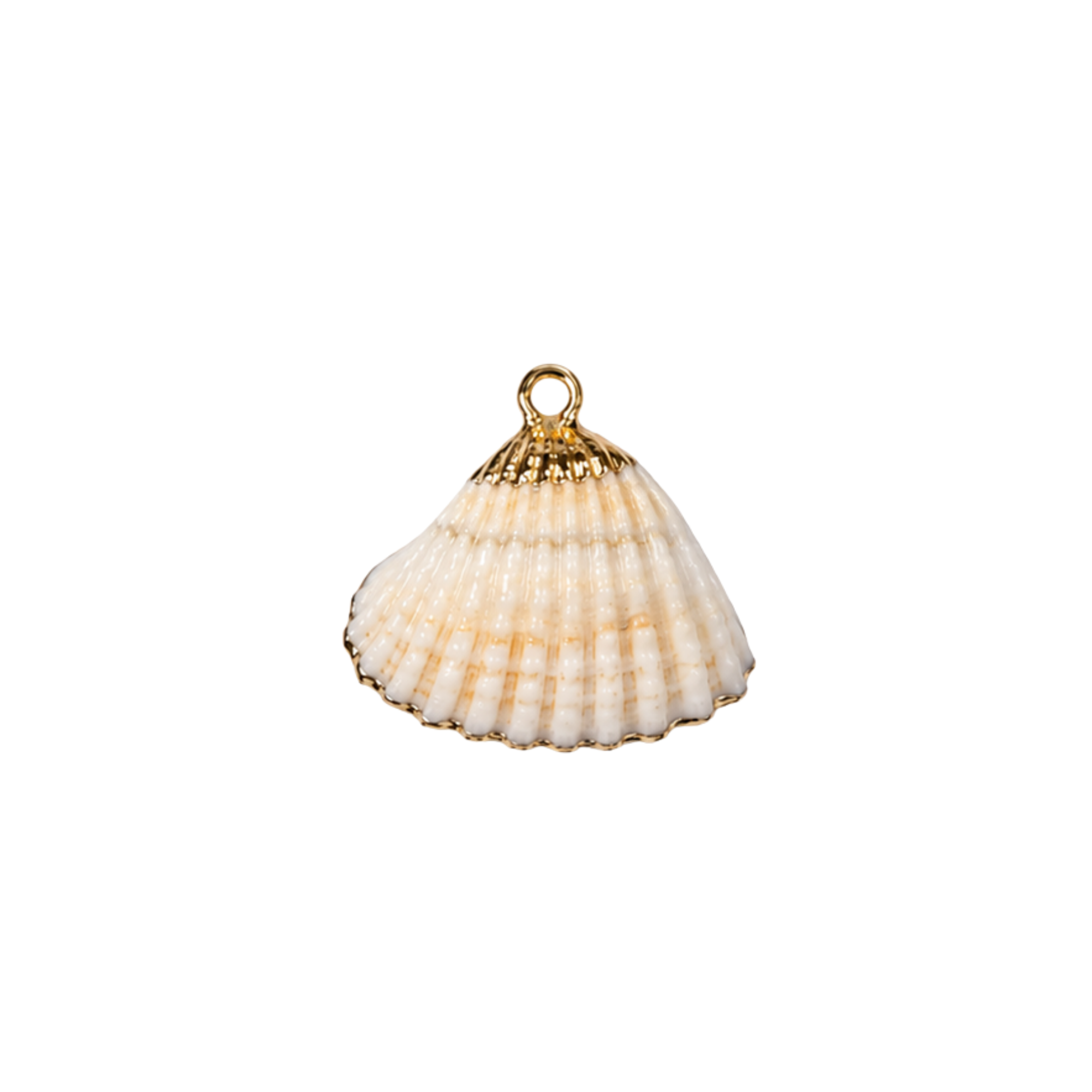 Shell Charms