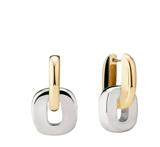 Agatha Hoop to drop Steel and Two Tone 14K PVD Gold Earrings