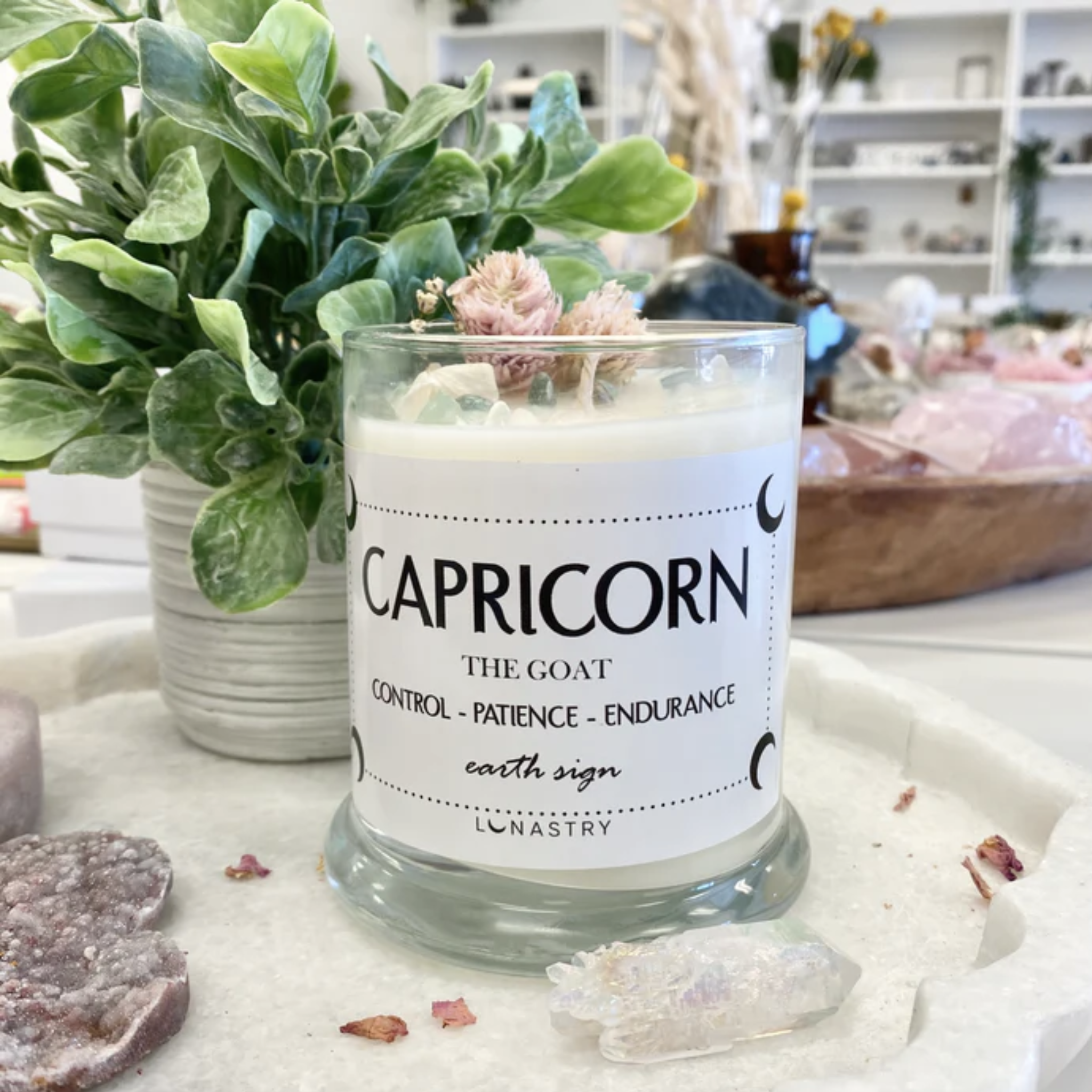 Capricorn Horoscope Candle - Let's Bag It