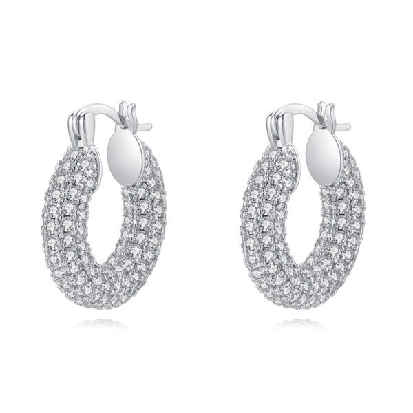 Hoop Earrings
