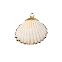 Large Shell