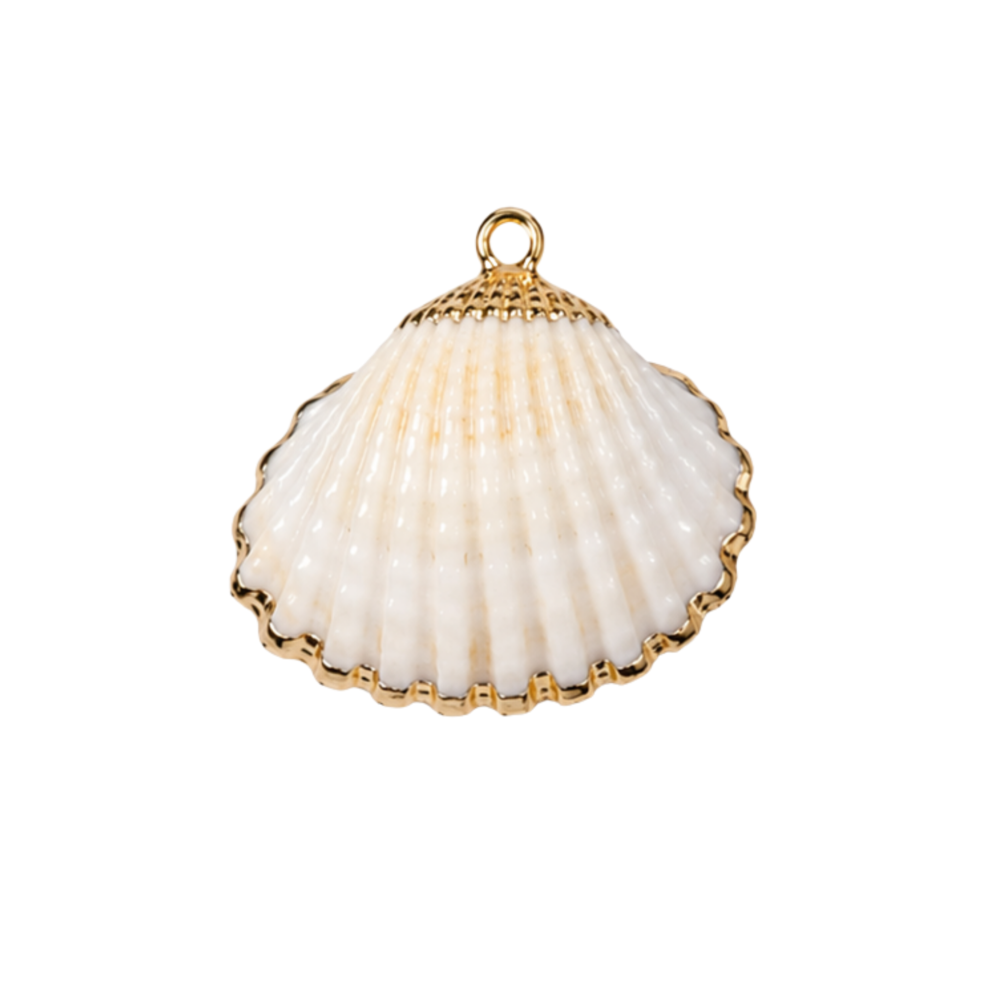 Shell Charms
