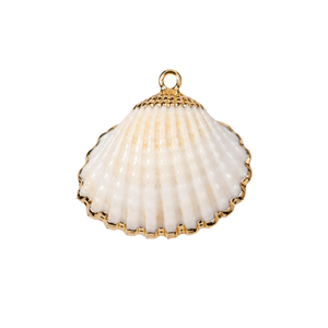 Large Shell