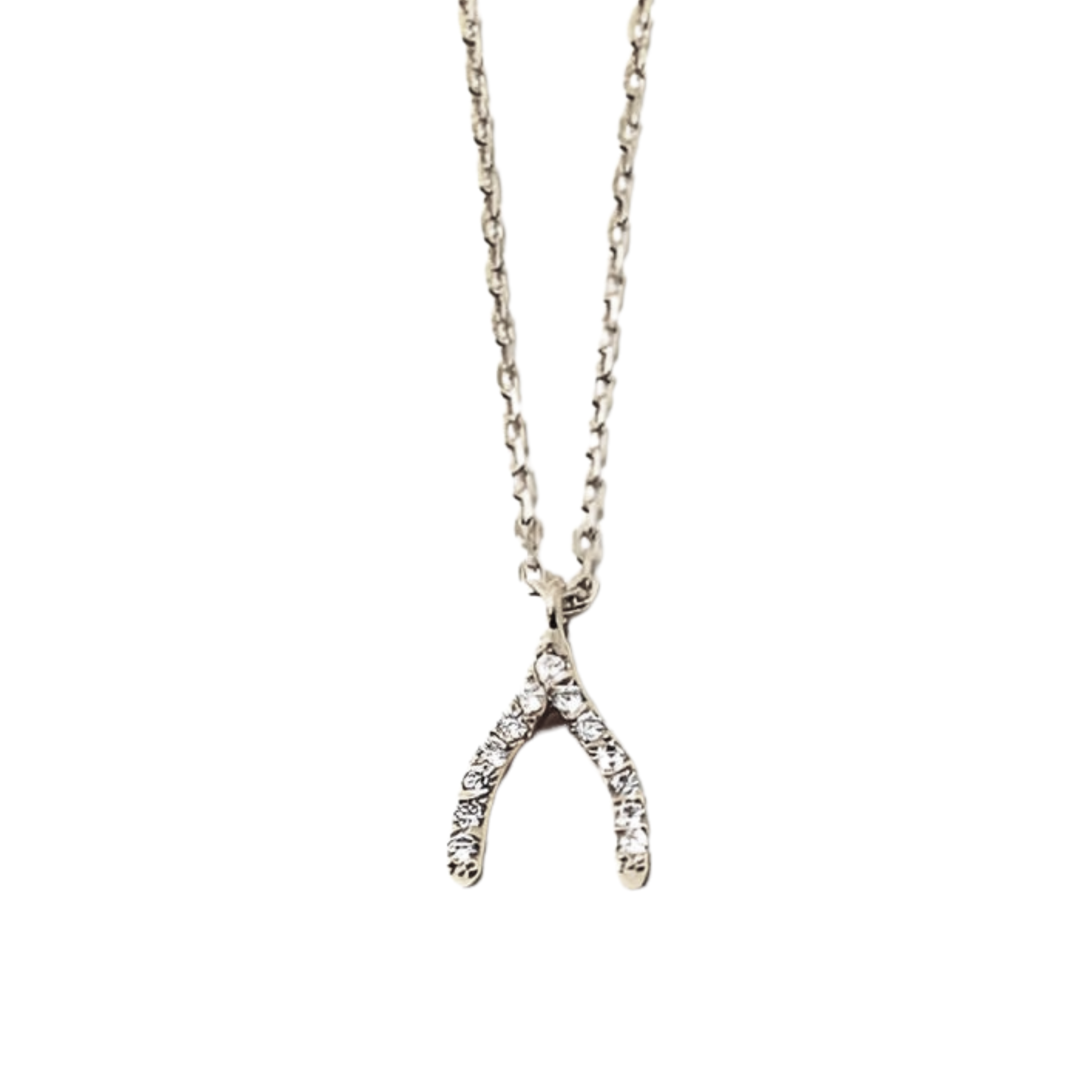 Dainty Wishbone Necklace