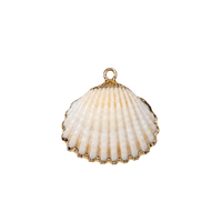 Medium Shell