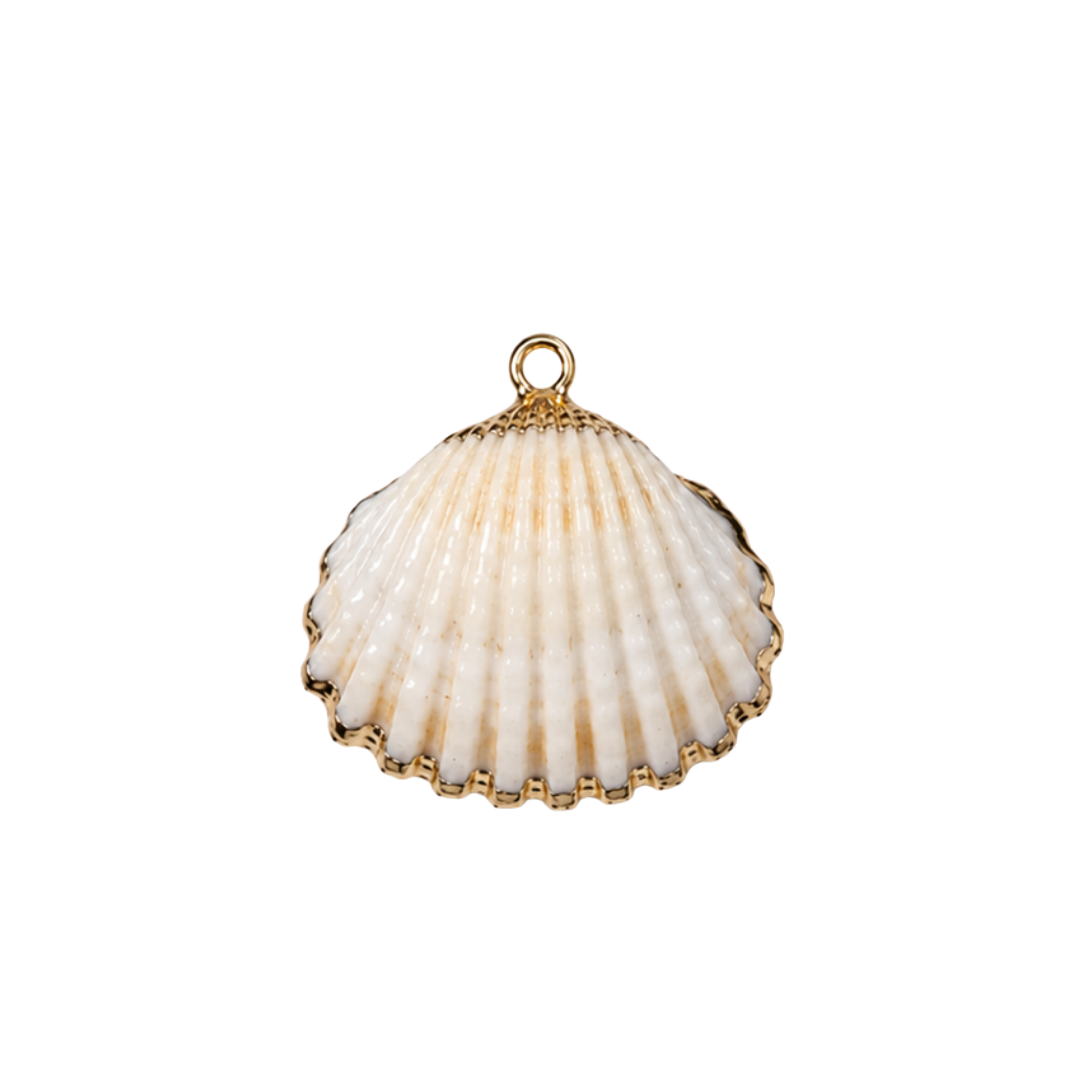 Shell Charms