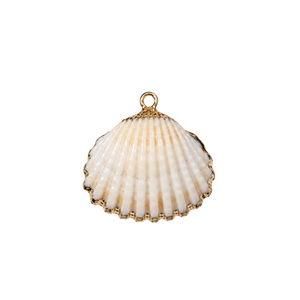 Medium Shell