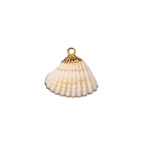Small Shell