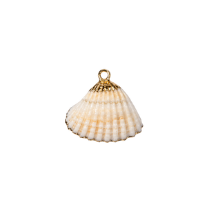 Small Shell