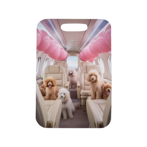 Dog Plane