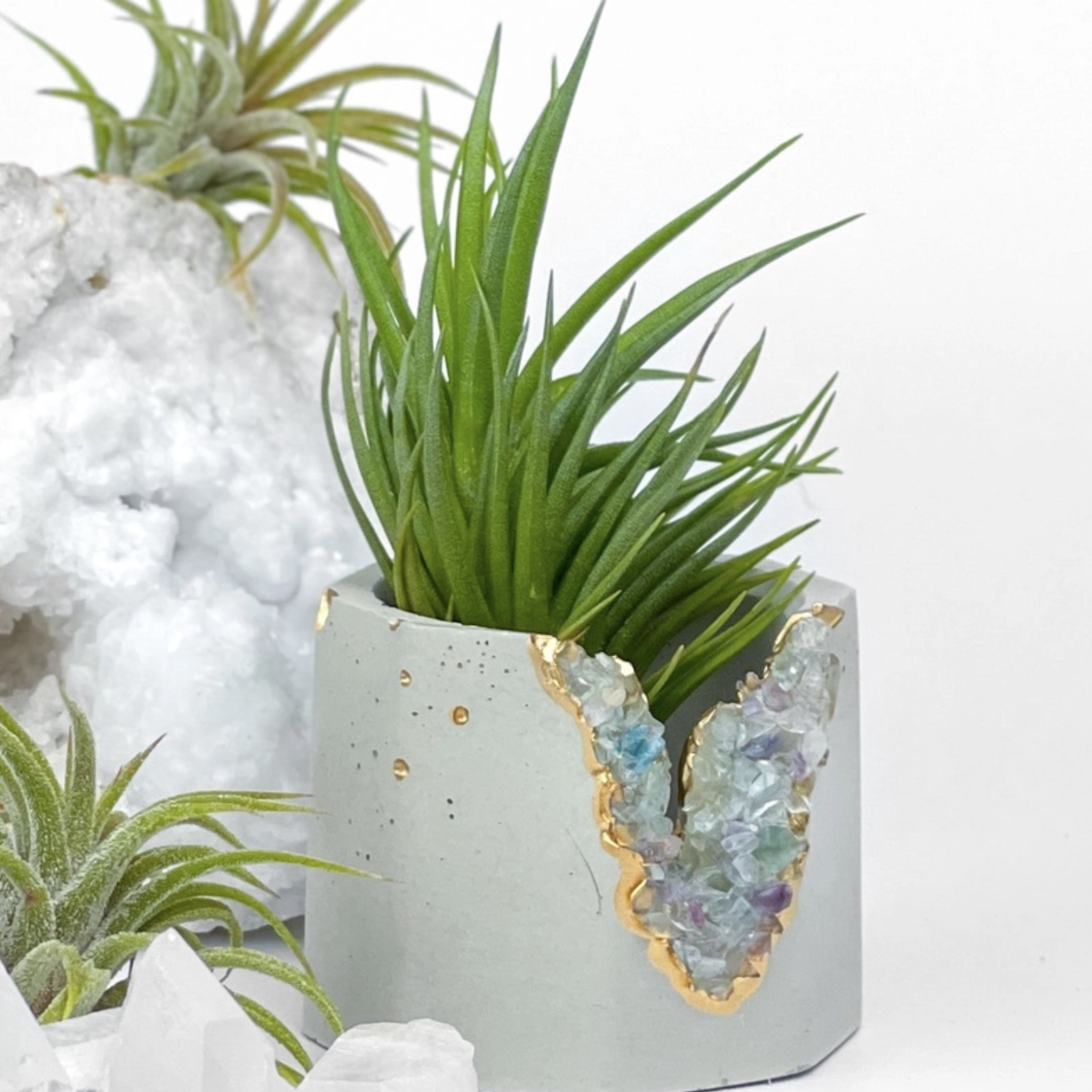 Crystal Geode Planter Pot with Plant Included!