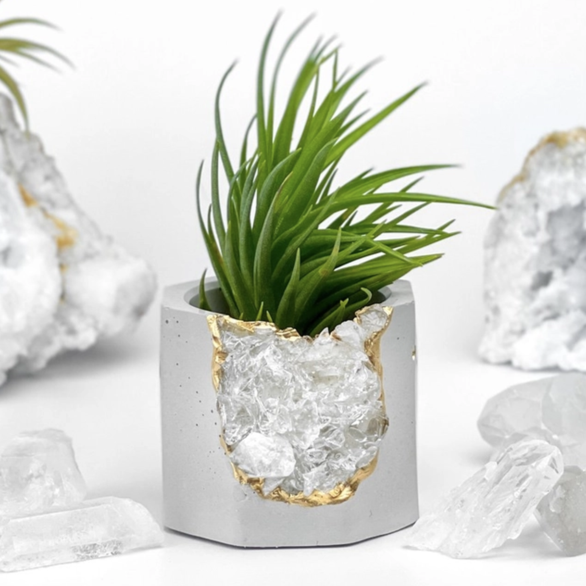 Crystal Geode Planter Pot with Plant Included!