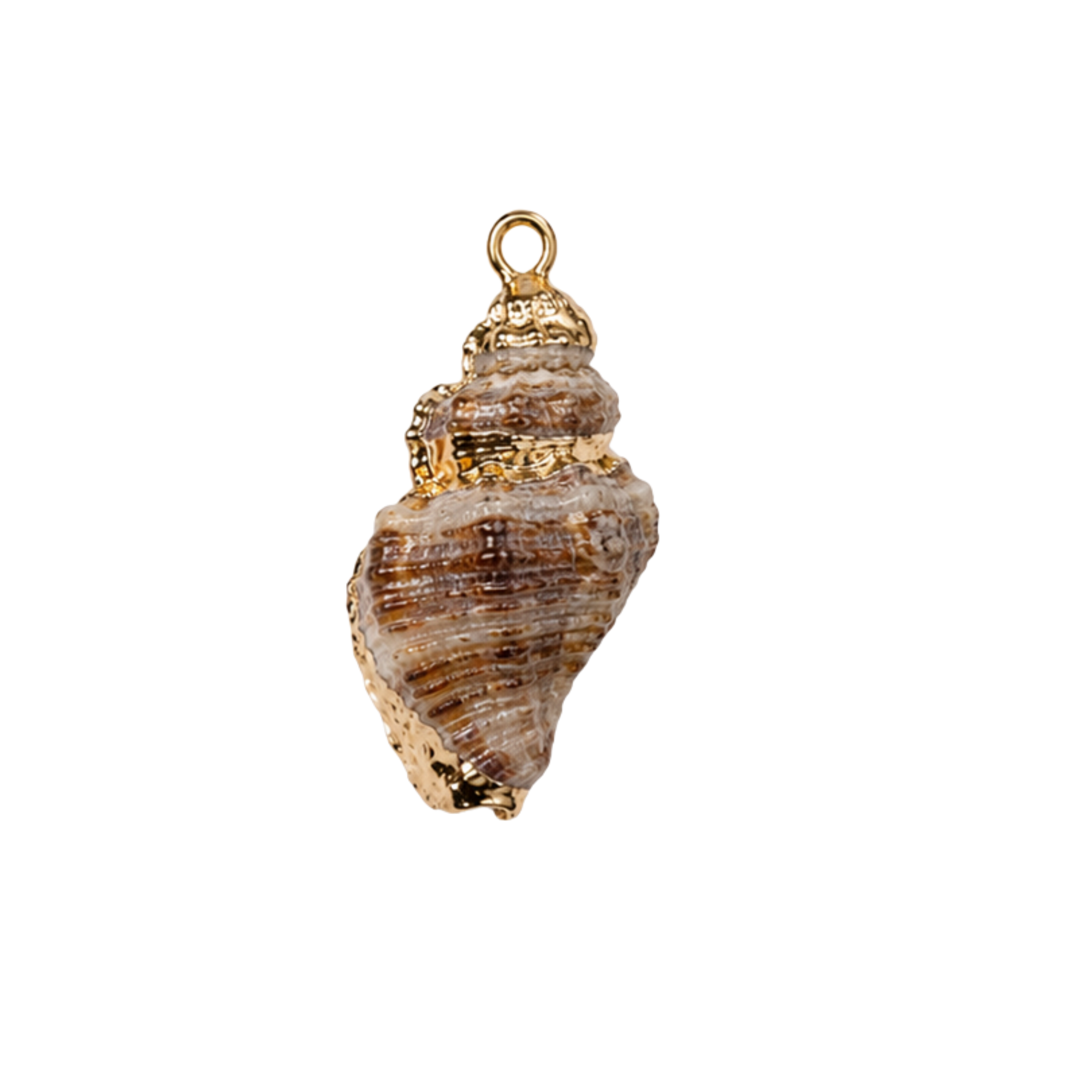Shell Charms