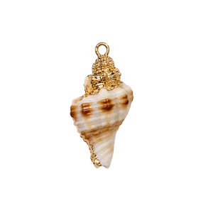 Medium Conch Swirl