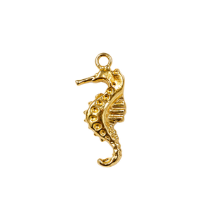 Seahorse