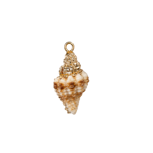 Small Conch Swirl