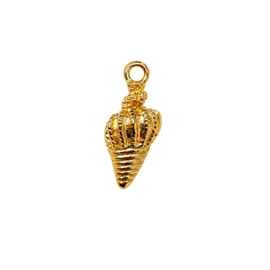 Small Conch