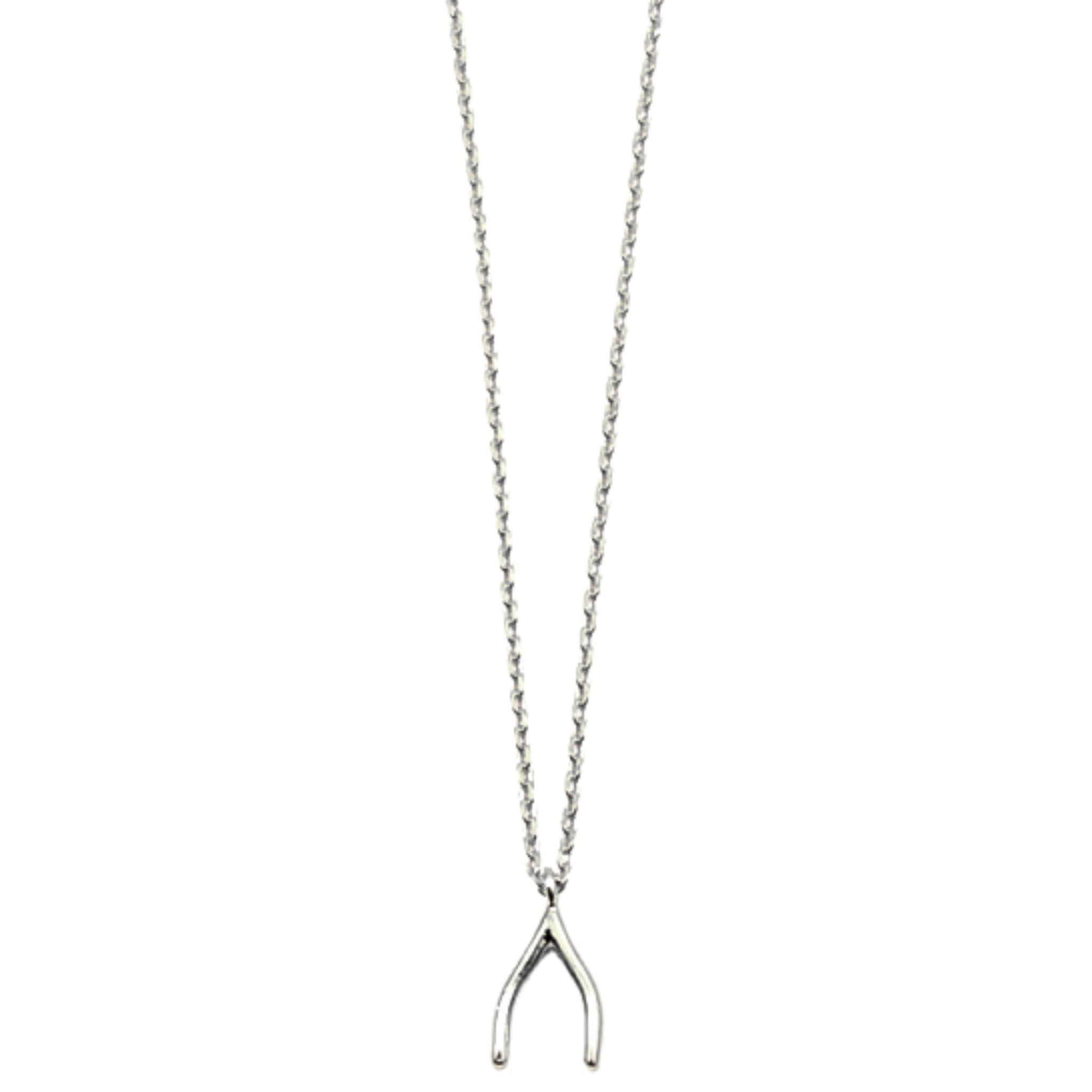 Lucky Wish Bone Necklace