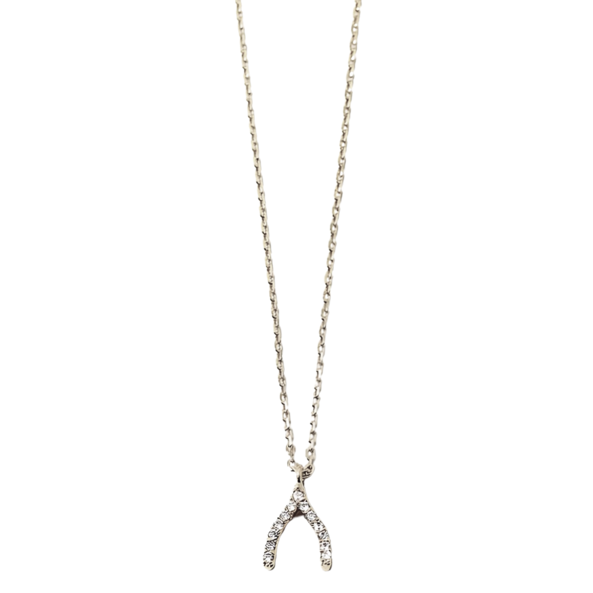 Dainty Wishbone Necklace