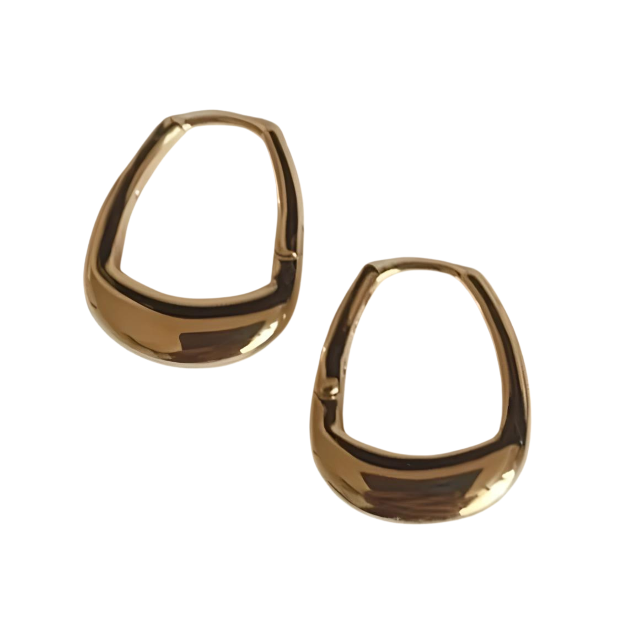 Goana Earrings